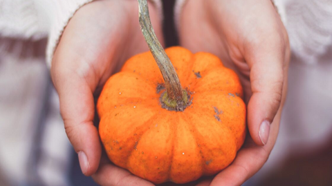 3 Naturally Sweetened Thanksgiving Recipes