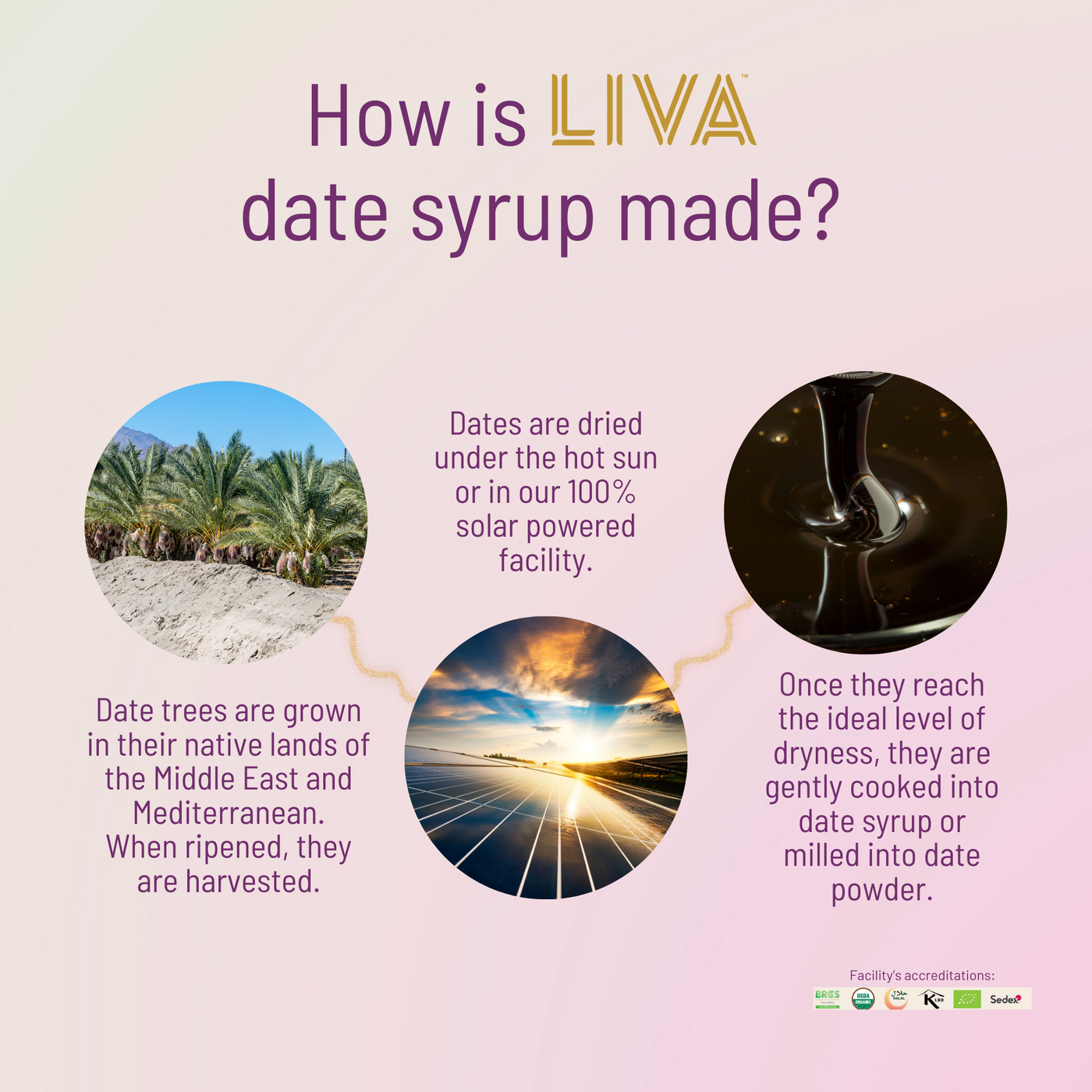 DATE SYRUP, 12 X 400G